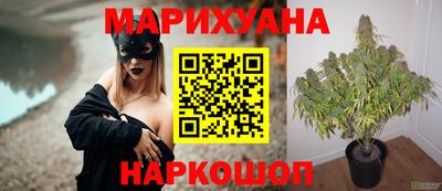 jwh Краснодар