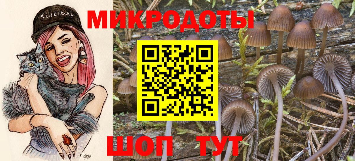 Галлюциногенные грибы ЛСД Семёнов