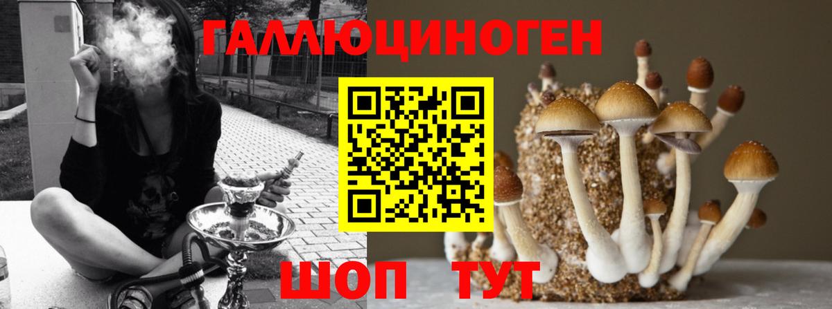 Семёнов  закладка  Вход с VPN  Псилоцибиновые грибы Psilocybine cubensis 